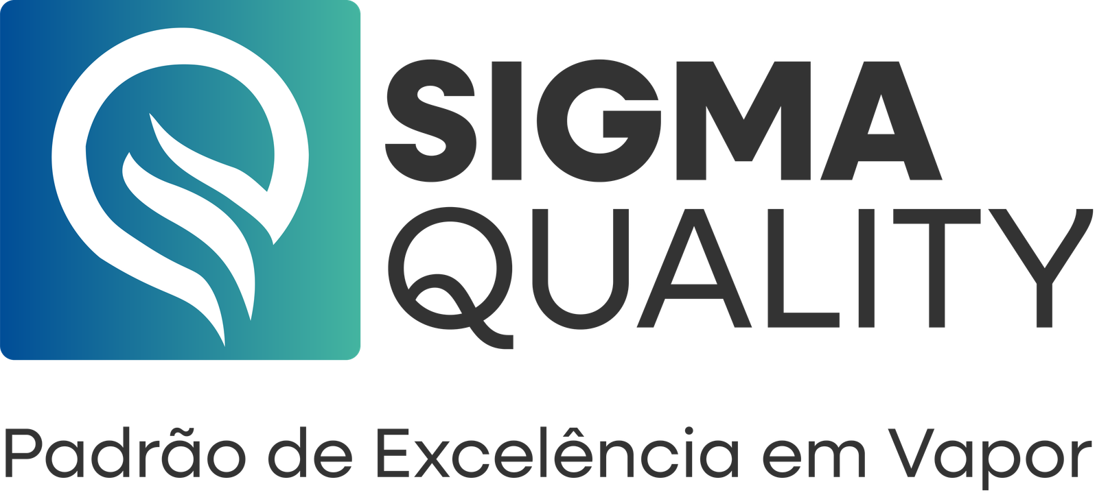 Sigma Quality Logo