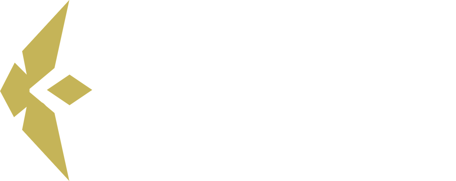 Bellum Transportes Logo
